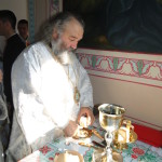 DSC06890